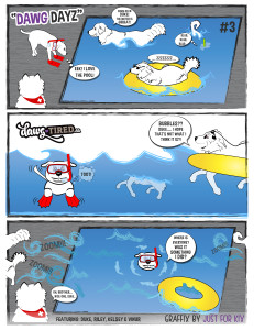 Pool Humour